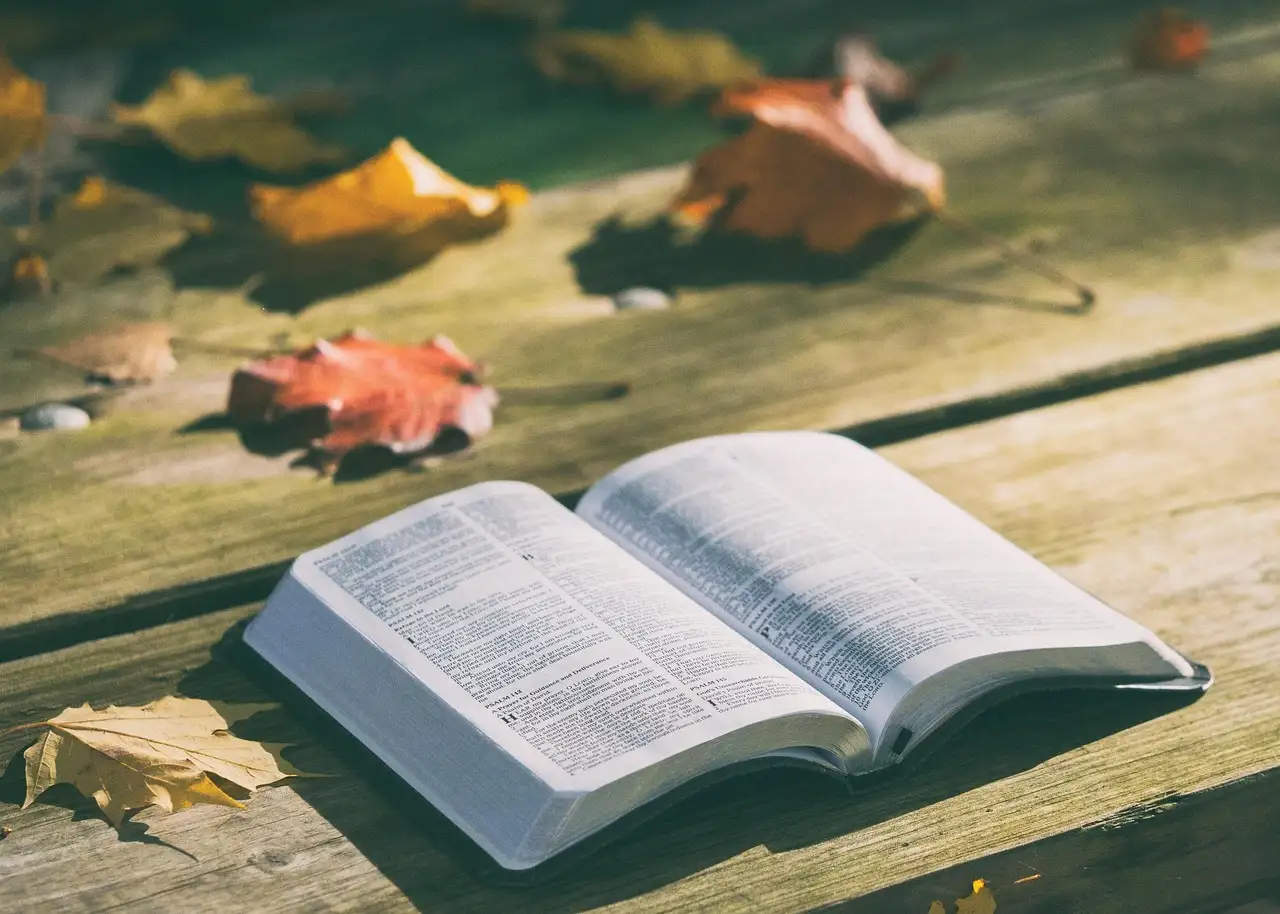 Gute nachricht bibel für dich