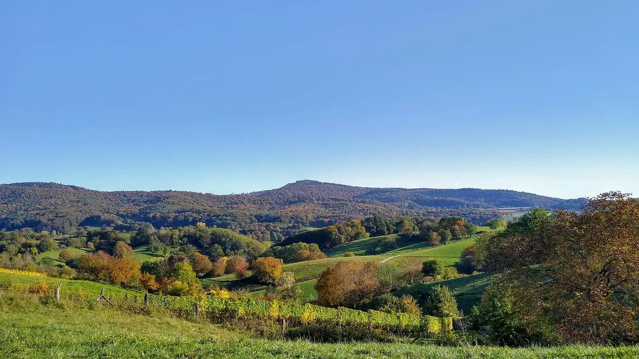 Hessen nachricht