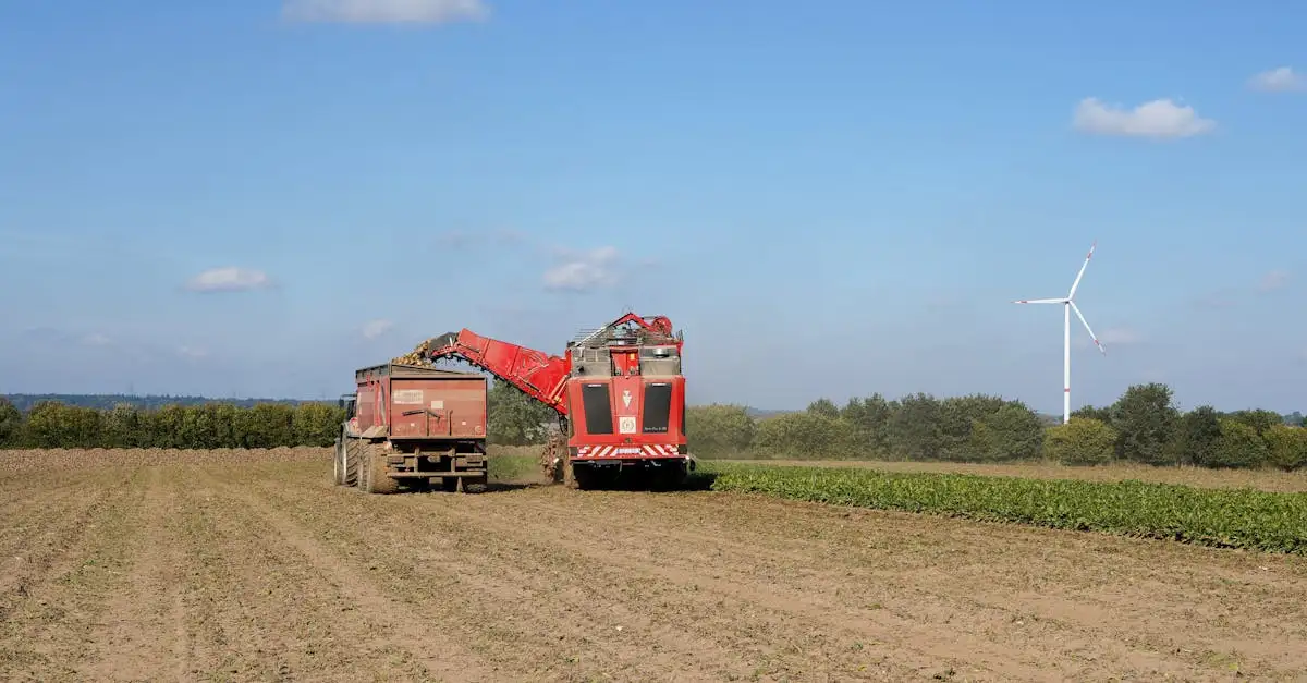 Nachrichte schleswig holstein